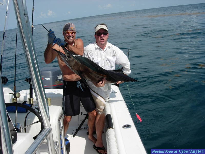 Willie the Texas Horse Trader and a Galveston Sail