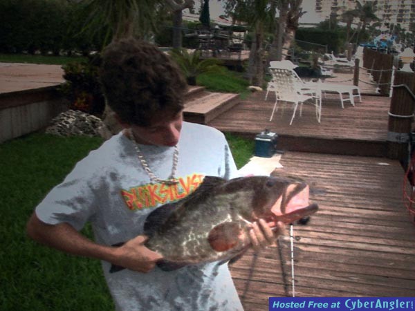 Big Red Grouper