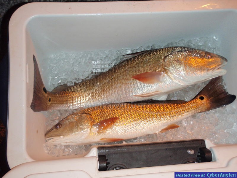 Redfish University