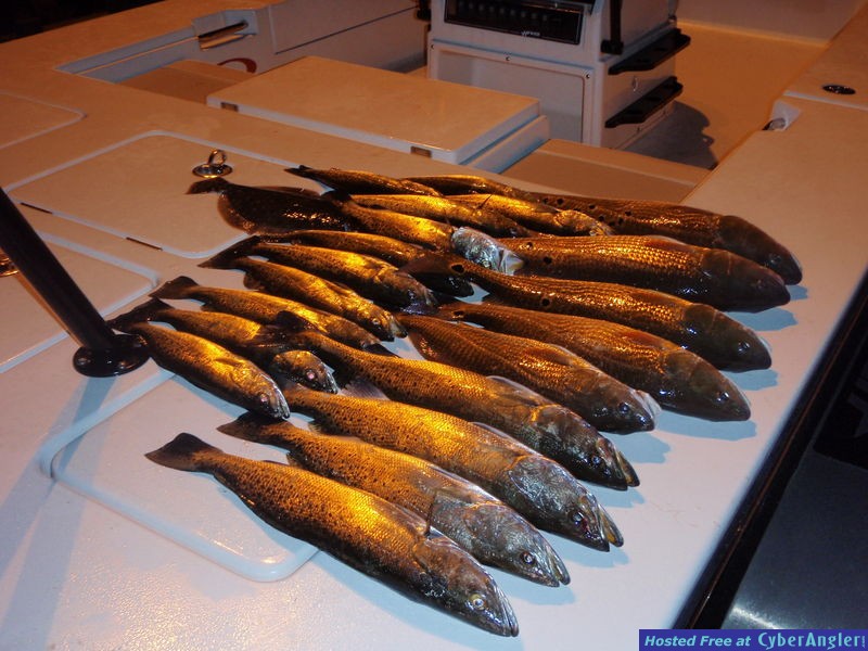 Redfish University