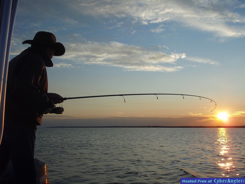 Redfish University