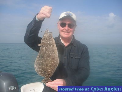 Sarasota flounder