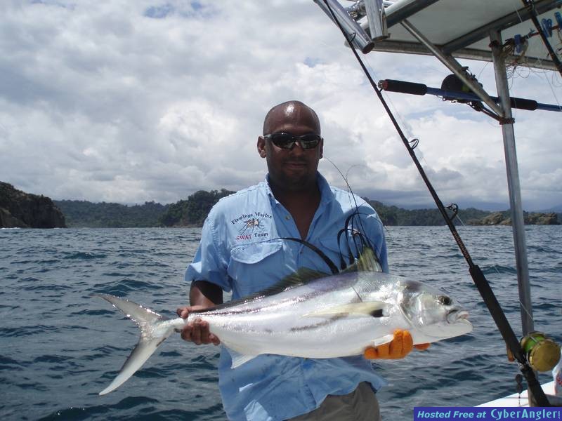 Roosterfish
