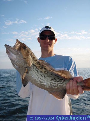 Click to Enlarge Photo