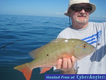 17-inch mutton snapper