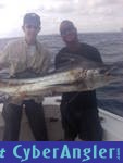 sailfish matt