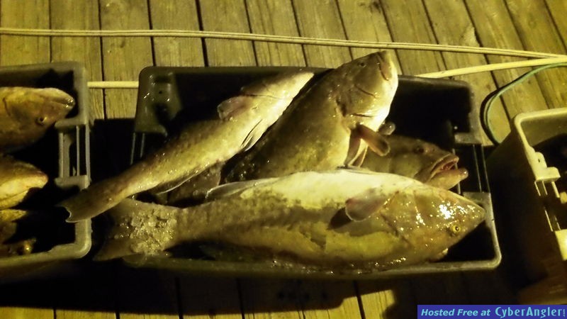 Deep Sea Fishing Myrtle Beach  for Grouper