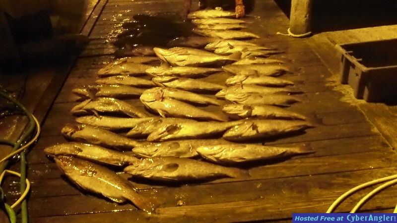 Deep Sea Fishing Myrtle Beach  for Grouper