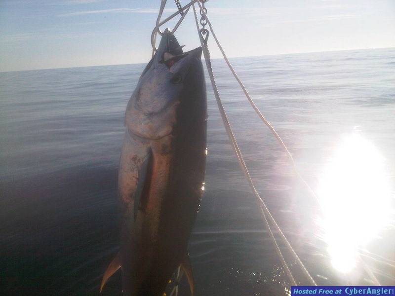 Deep Sea Fishing Myrtle Beach Bluefin Tuna