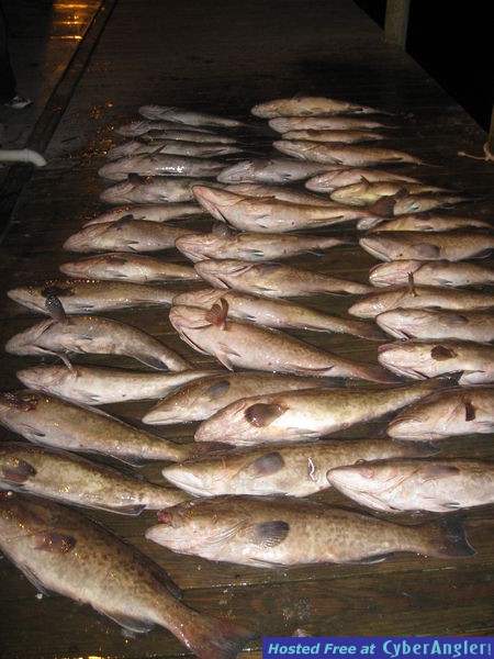 Deep Sea Fishing Myrtle Beach for Grouper