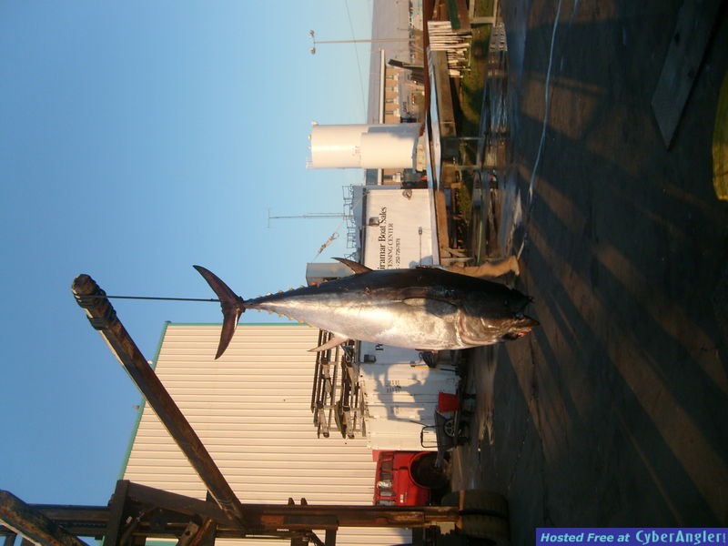 Deep Sea Fishing Myrtle Beach Bluefin Tuna