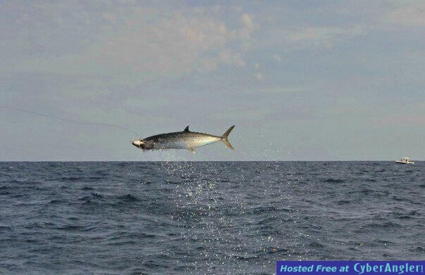 Deep Sea Fishing Myrtle Beach King Mackerel