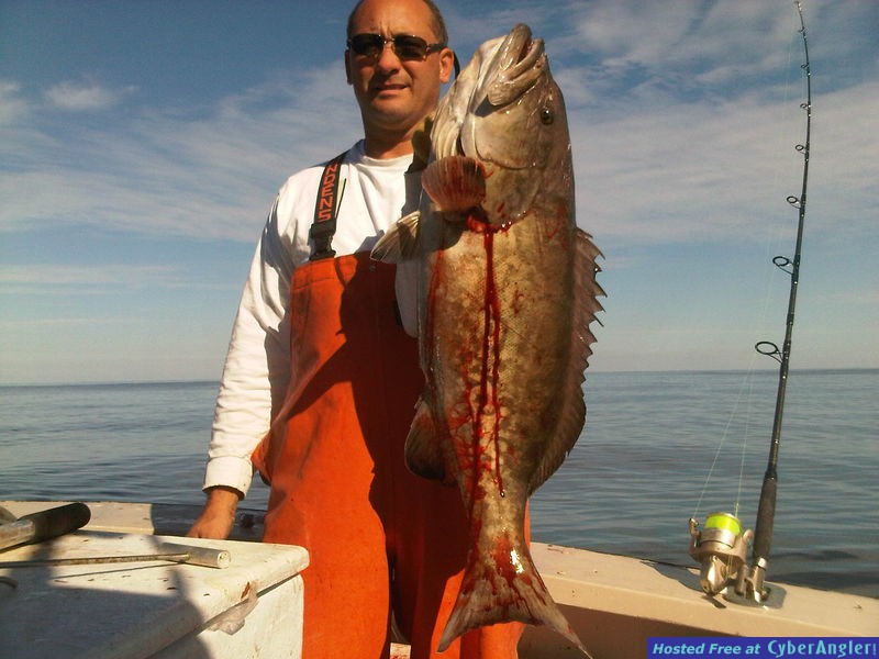 North Myrtle Beach Fishing Charters For Grouper