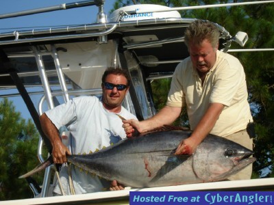 Outer Banks Bigeye