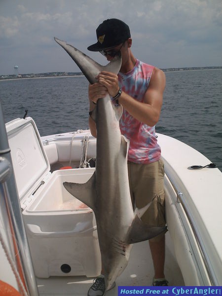 North Myrtle Beach Fishing Charters Shark Fishing