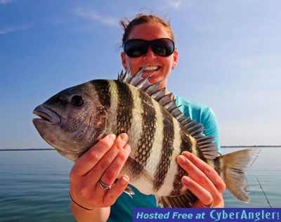 Pine Island Sheepshead