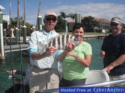 Sarasota sheepshead