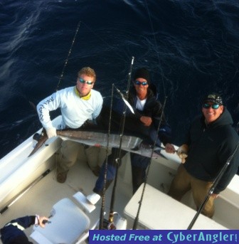 Jan_4_2012_Sailfish_web