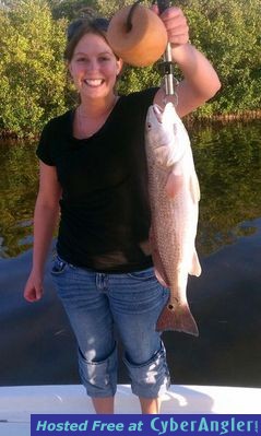 Click to Enlarge Photo