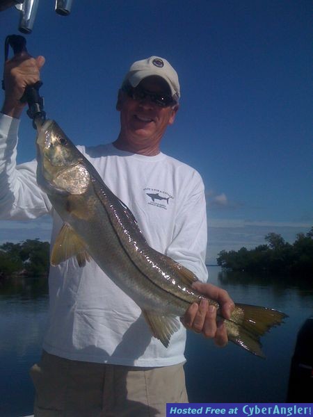 31 1/2 inch snook