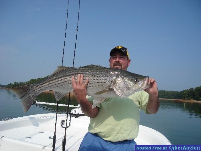 Big Summertime Trolling Fish