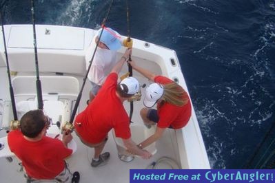 Click to Enlarge Photo