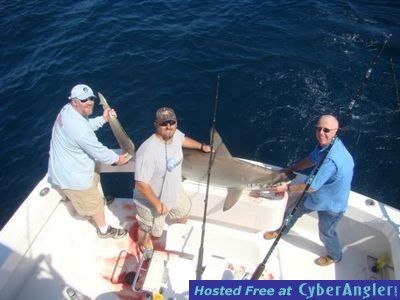 Click to Enlarge Photo