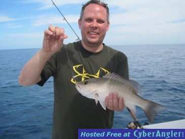 18-inch mangrove snapper