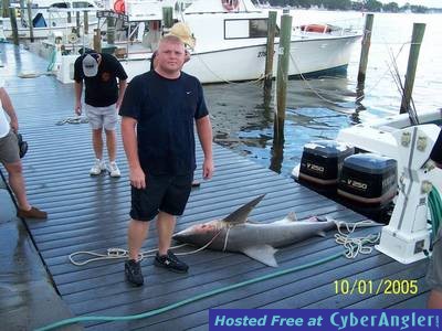 Bull Shark Caught in Gulf of Mexico PCB