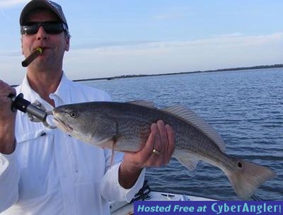 Click to Enlarge Photo