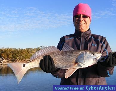 Click to Enlarge Photo