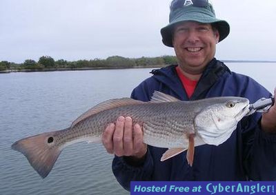 Click to Enlarge Photo