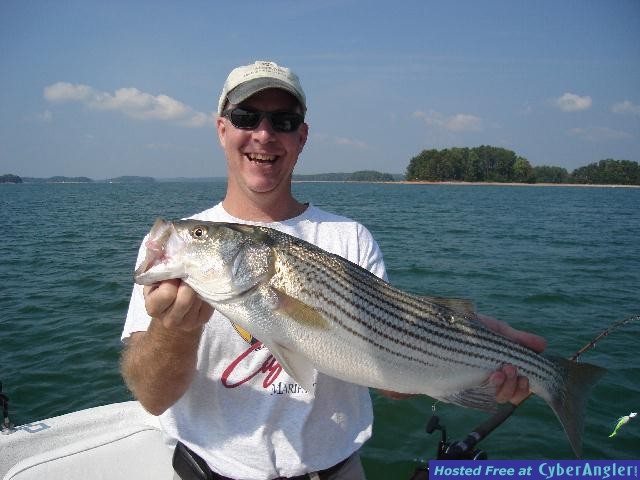 Trolling Fish