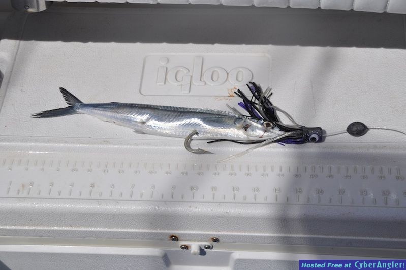 Click to Enlarge Photo