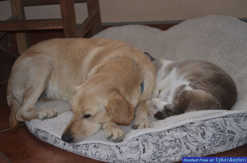 Click to Enlarge Photo