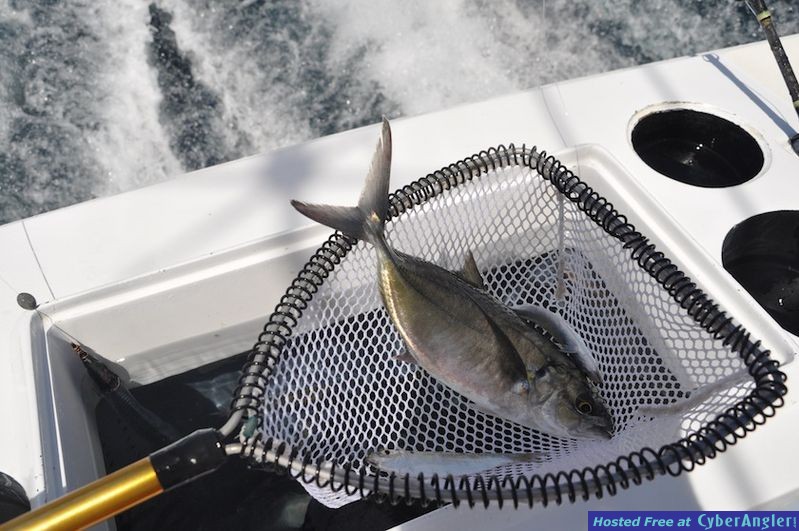 Click to Enlarge Photo