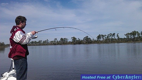 Bowed up on a redfish
