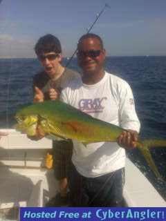 mahi mahi porter