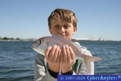 Click to Enlarge Photo