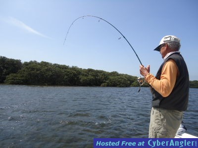 Click to Enlarge Photo