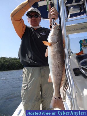 Click to Enlarge Photo