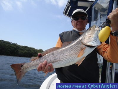 Click to Enlarge Photo