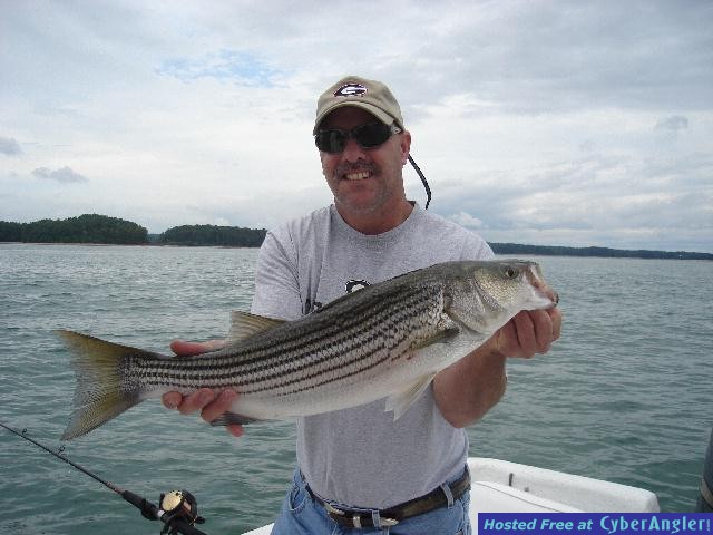 Lake Lanier Striper