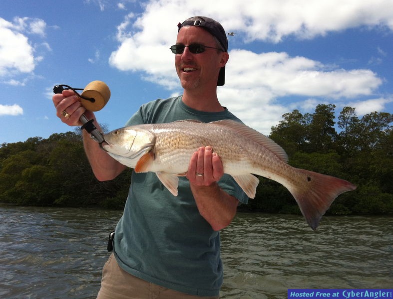 redfish photos