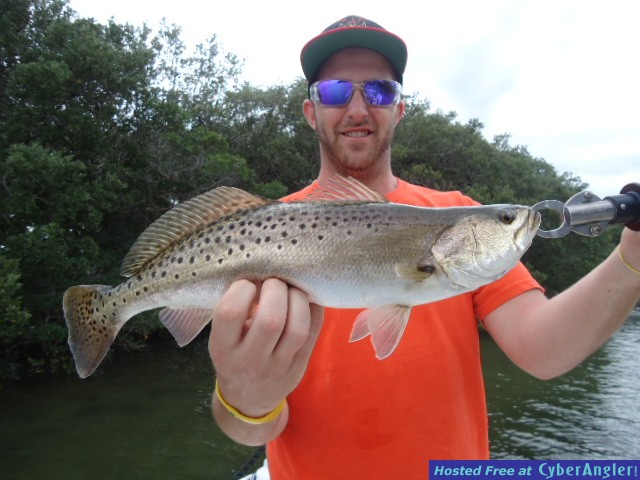 Click to Enlarge Photo