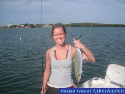Sarasota Spanish mackerel