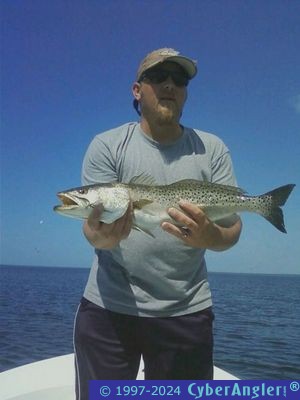 Click to Enlarge Photo