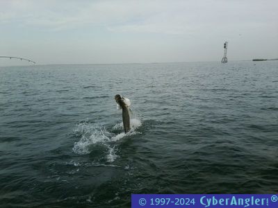 Click to Enlarge Photo