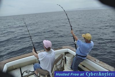 Click to Enlarge Photo