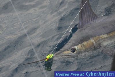 Click to Enlarge Photo